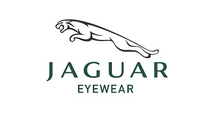 jaguar designer frames